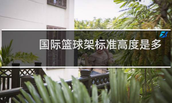 国际篮球架标准高度是多少图片