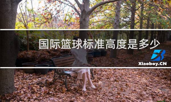 国际篮球标准高度是多少图片