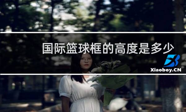 国际篮球框的高度是多少图片