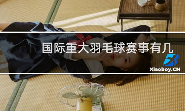 国际重大羽毛球赛事有几个图片