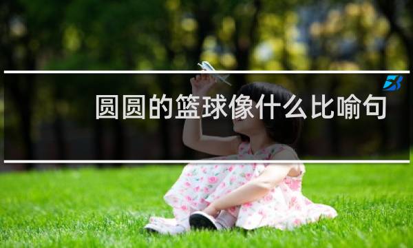 圆圆的篮球像什么比喻句图片