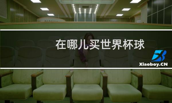 在哪儿买世界杯球图片