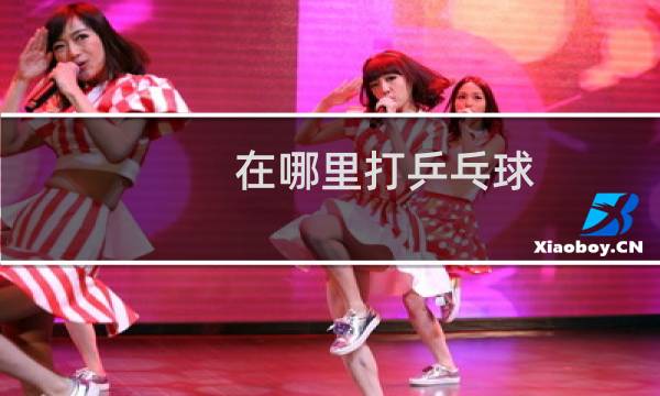在哪里打乒乓球图片