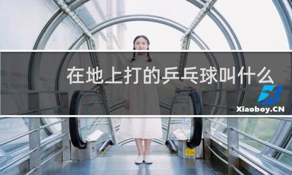 在地上打的乒乓球叫什么图片
