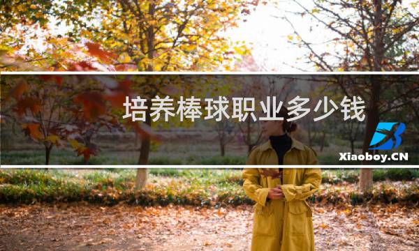 培养棒球职业多少钱图片