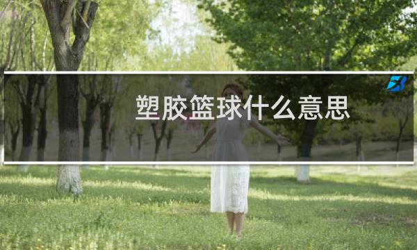 塑胶篮球什么意思图片