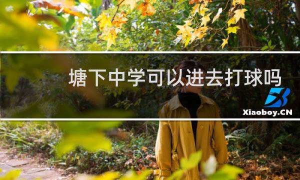 塘下中学可以进去打球吗图片