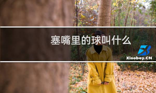 塞嘴里的球叫什么图片