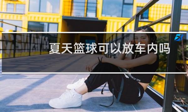 夏天篮球可以放车内吗图片