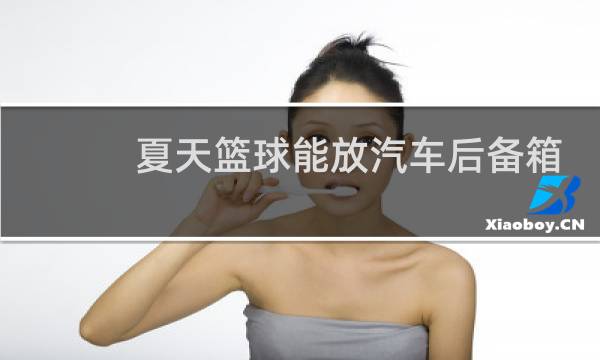夏天篮球能放汽车后备箱吗图片