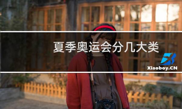 夏季奥运会分几大类图片
