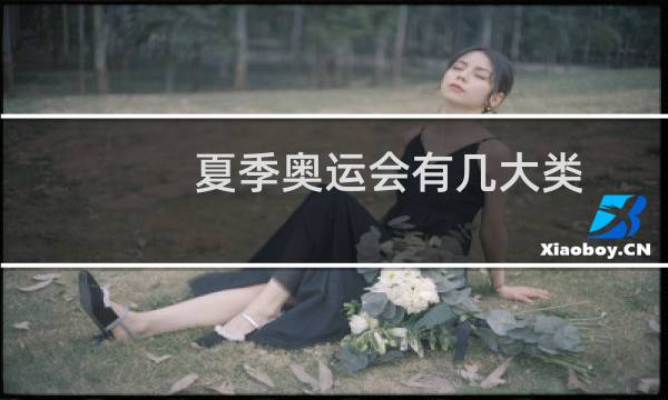 夏季奥运会有几大类图片