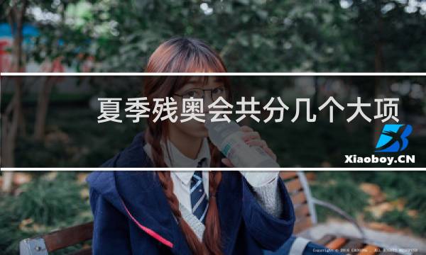 夏季残奥会共分几个大项图片