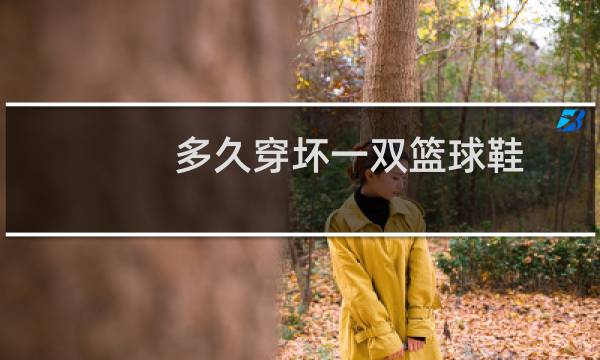 多久穿坏一双篮球鞋图片
