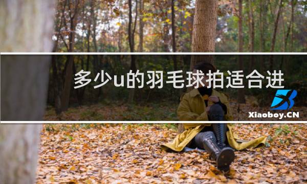 多少u的羽毛球拍适合进攻图片