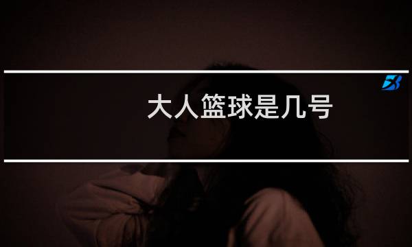 大人篮球是几号图片