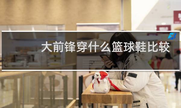 大前锋穿什么篮球鞋比较好图片