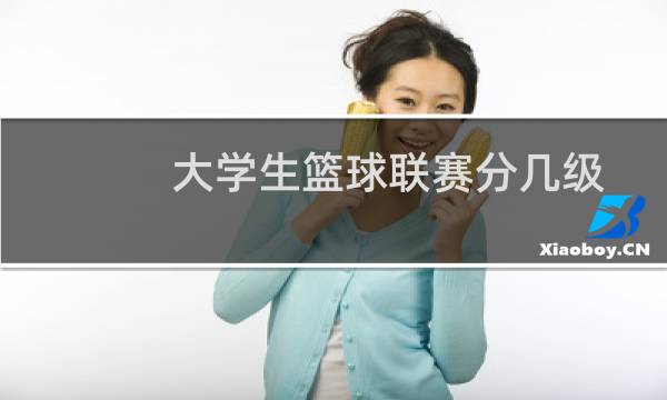 大学生篮球联赛分几级图片
