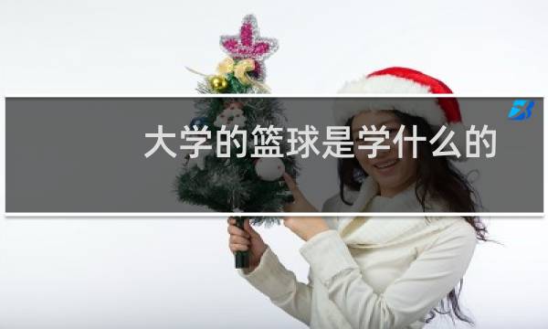 大学的篮球是学什么的图片