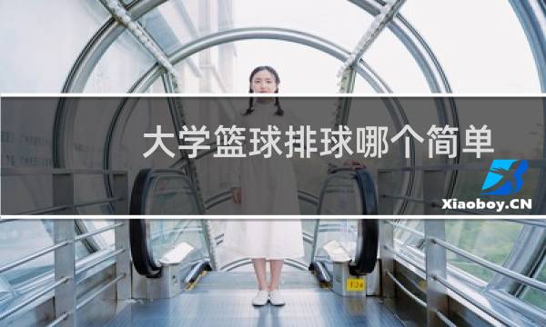 大学篮球排球哪个简单图片