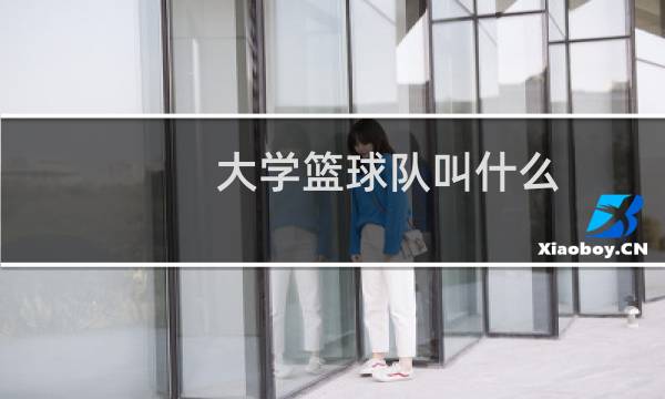 大学篮球队叫什么图片