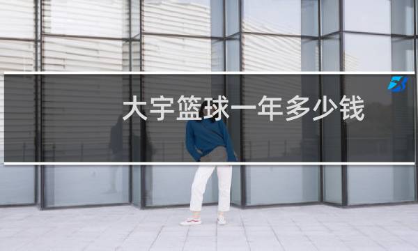 大宇篮球一年多少钱图片