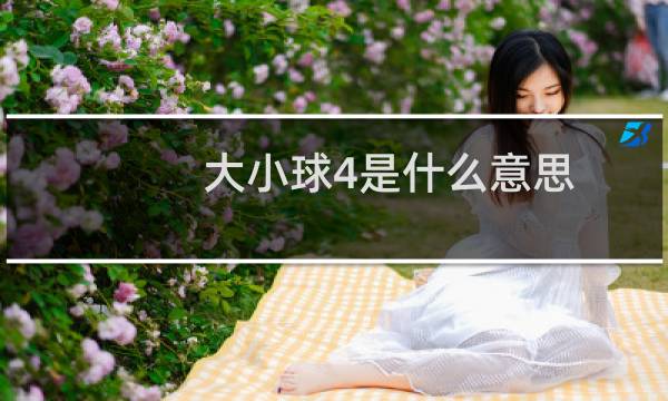 大小球4是什么意思图片