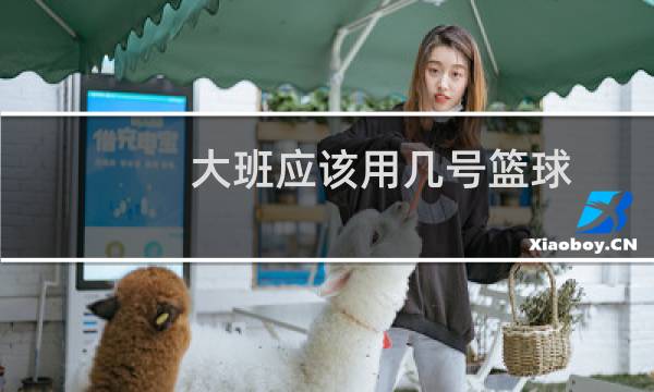 大班应该用几号篮球图片