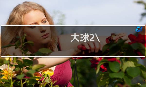 大球2\\/2.5是什么意思图片