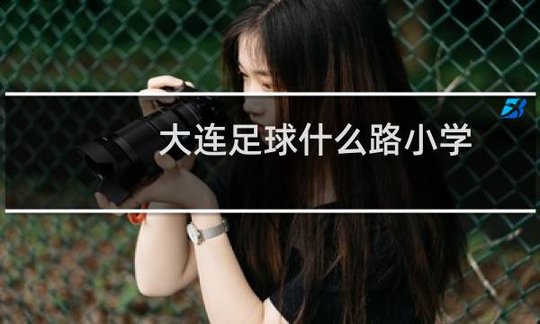 大连足球什么路小学图片