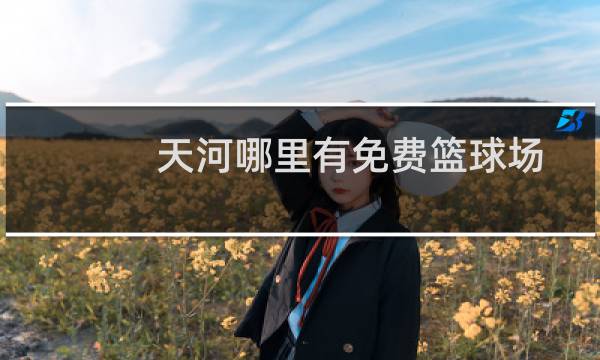 天河哪里有免费篮球场图片
