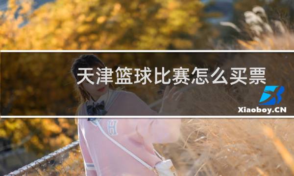 天津篮球比赛怎么买票图片