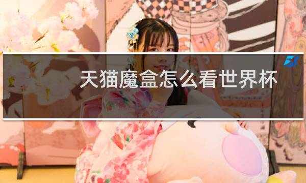 天猫魔盒怎么看世界杯图片