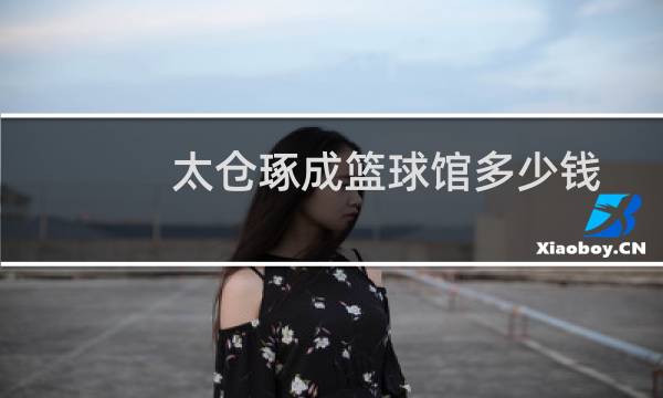太仓琢成篮球馆多少钱图片