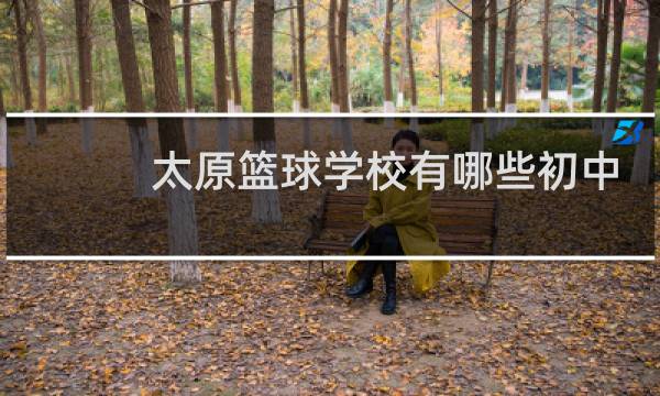 太原篮球学校有哪些初中图片