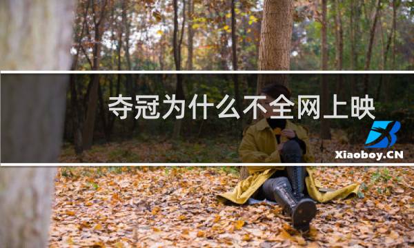 夺冠为什么不全网上映图片