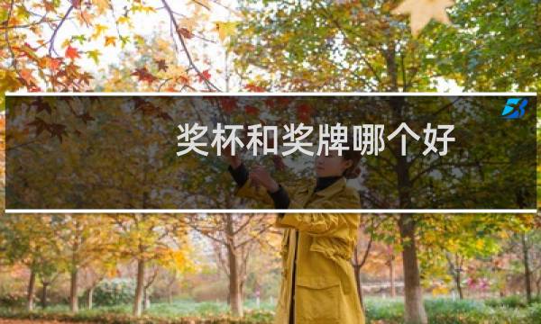 奖杯和奖牌哪个好图片
