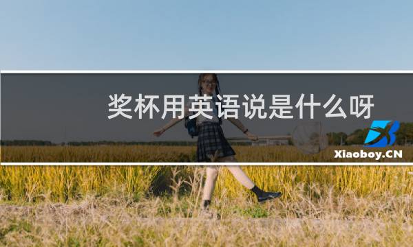 奖杯用英语说是什么呀图片