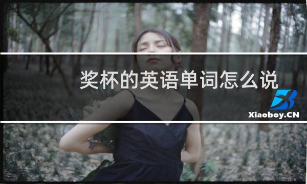 奖杯的英语单词怎么说图片