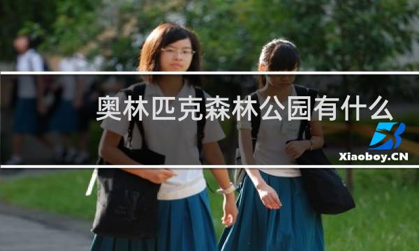 奥林匹克森林公园有什么好玩的图片