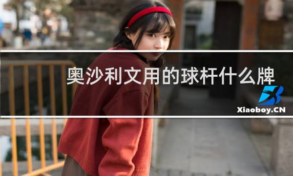 奥沙利文用的球杆什么牌子图片