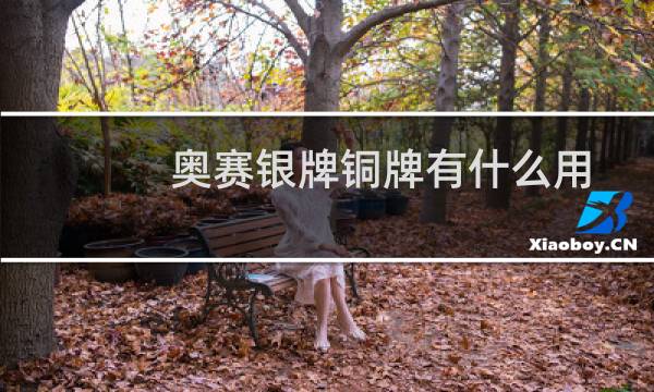 奥赛银牌铜牌有什么用图片