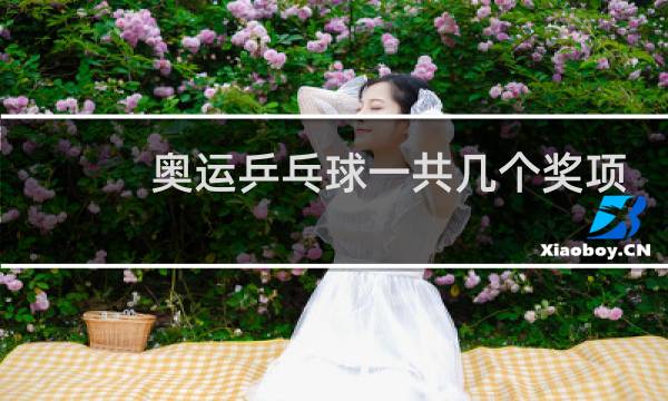 奥运乒乓球一共几个奖项图片