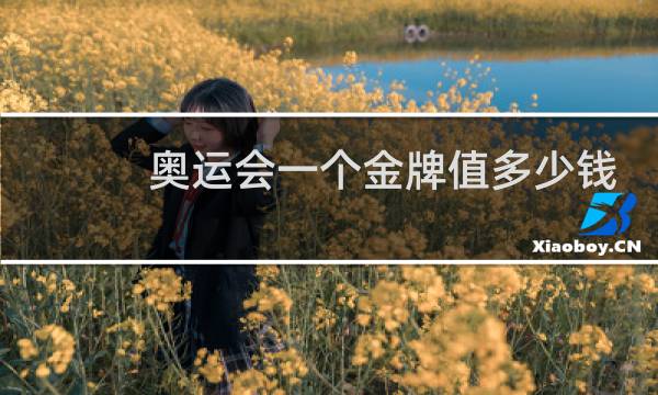 奥运会一个金牌值多少钱图片
