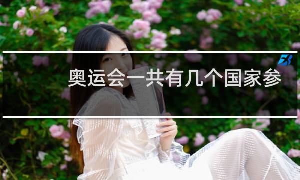 奥运会一共有几个国家参加图片
