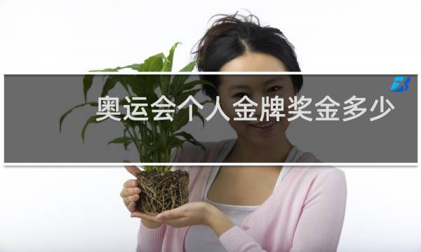 奥运会个人金牌奖金多少图片