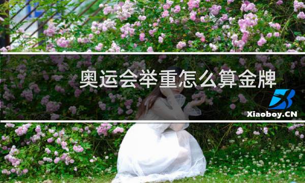 奥运会举重怎么算金牌图片