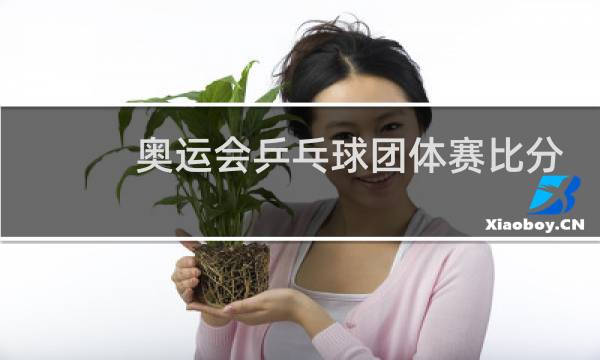 奥运会乒乓球团体赛比分怎么看图片