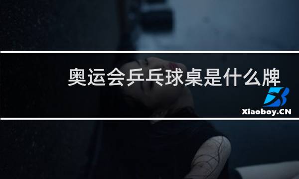 奥运会乒乓球桌是什么牌子图片
