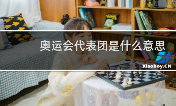 奥运会代表团是什么意思图片